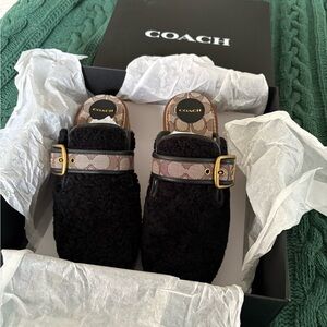 COACH Dylan Shearling Platform Clogs